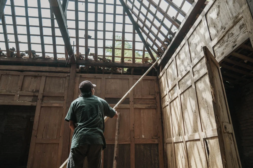 This image shows a member of the Nusantara Lifestyle furniture company dismantling an old joglo house on the island of Java in Indonesia. The wood removed will be reused to make sustainable teak furniture.