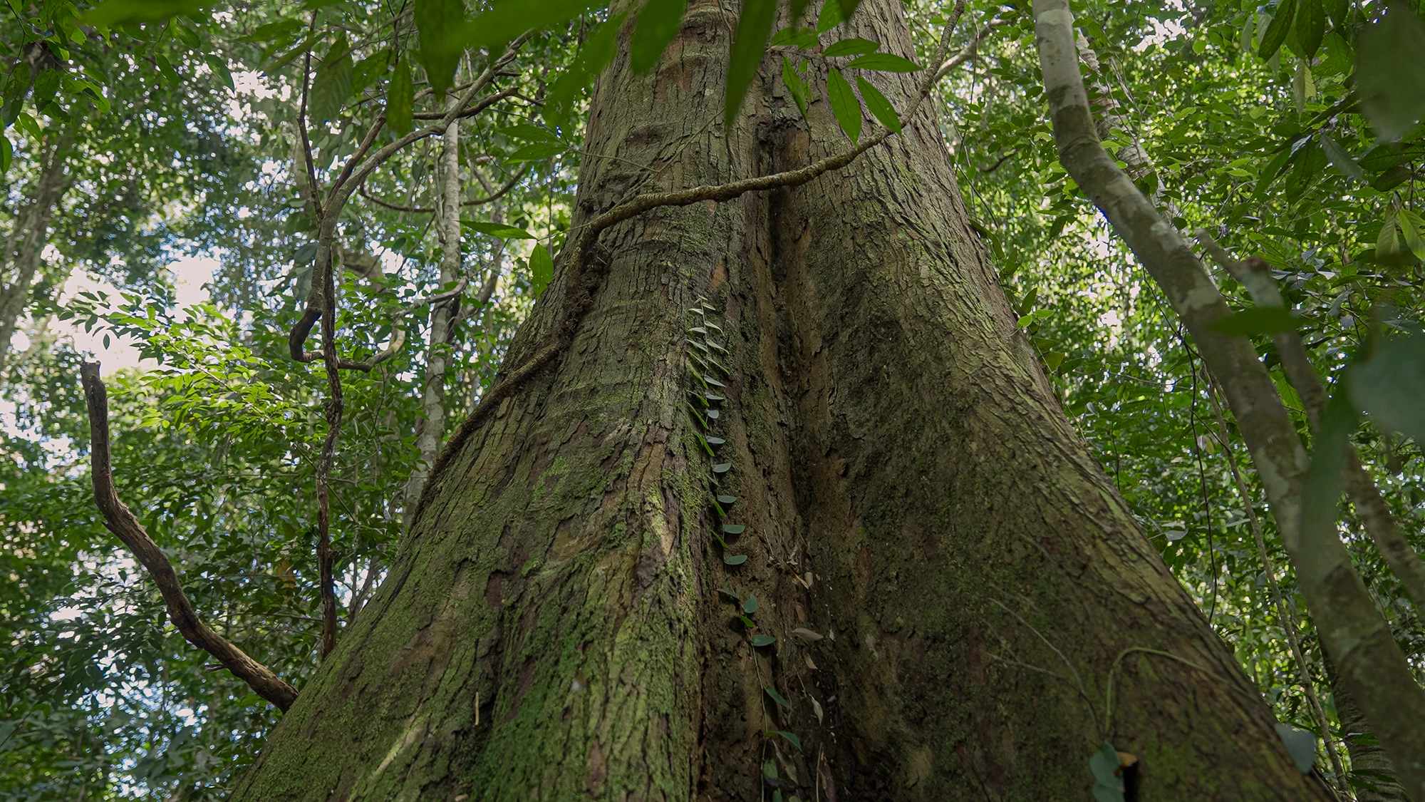sustainable-furniture-and-circular-economy Sustainable furniture and circular economy concept with reclaimed teak materials.