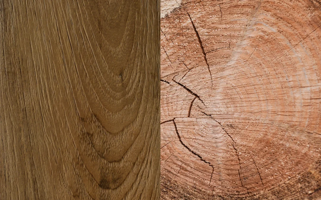 FSC Recycled vs Plantation Timber: What’s Actually Better for Forests?