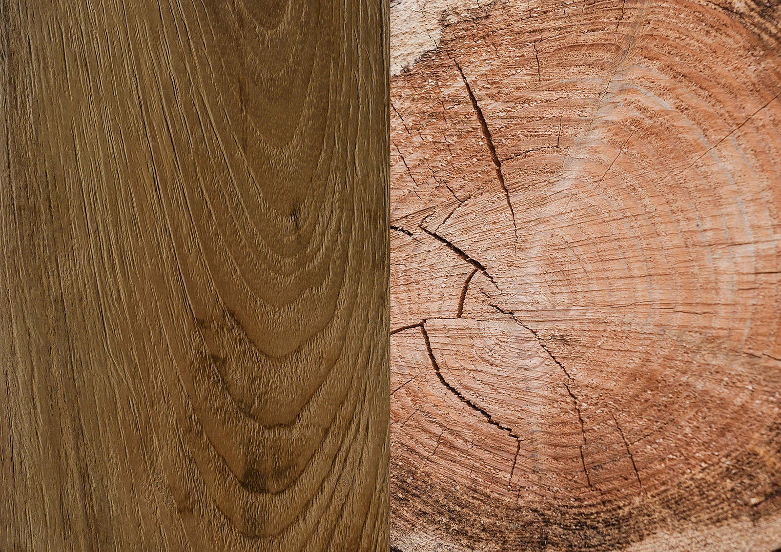 close-up-reclaimed-teak-grain-vs-plantation-grown-timber-surface Comparison of reclaimed teak timber and plantation timber, highlighting differences in grain, density, and character